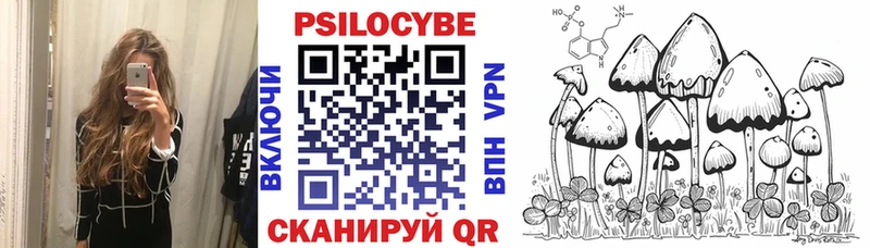 наркошоп  Суджа  Псилоцибиновые грибы Psilocybe 