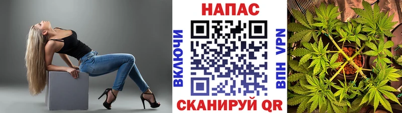продажа наркотиков  Суджа  Канабис гибрид 